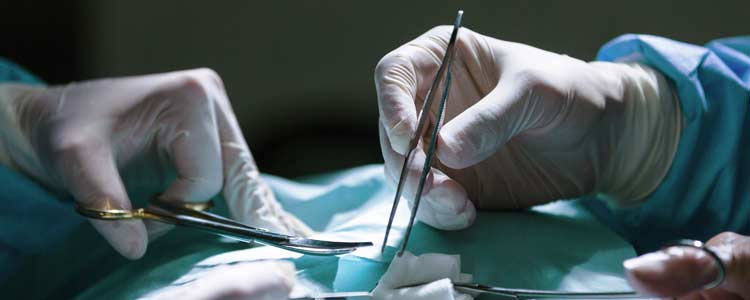 Clínica Veterinaria Ronda Este, expertos en cirugía oncológica