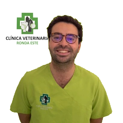 veterinario en Centro Veterinario Ronda Este