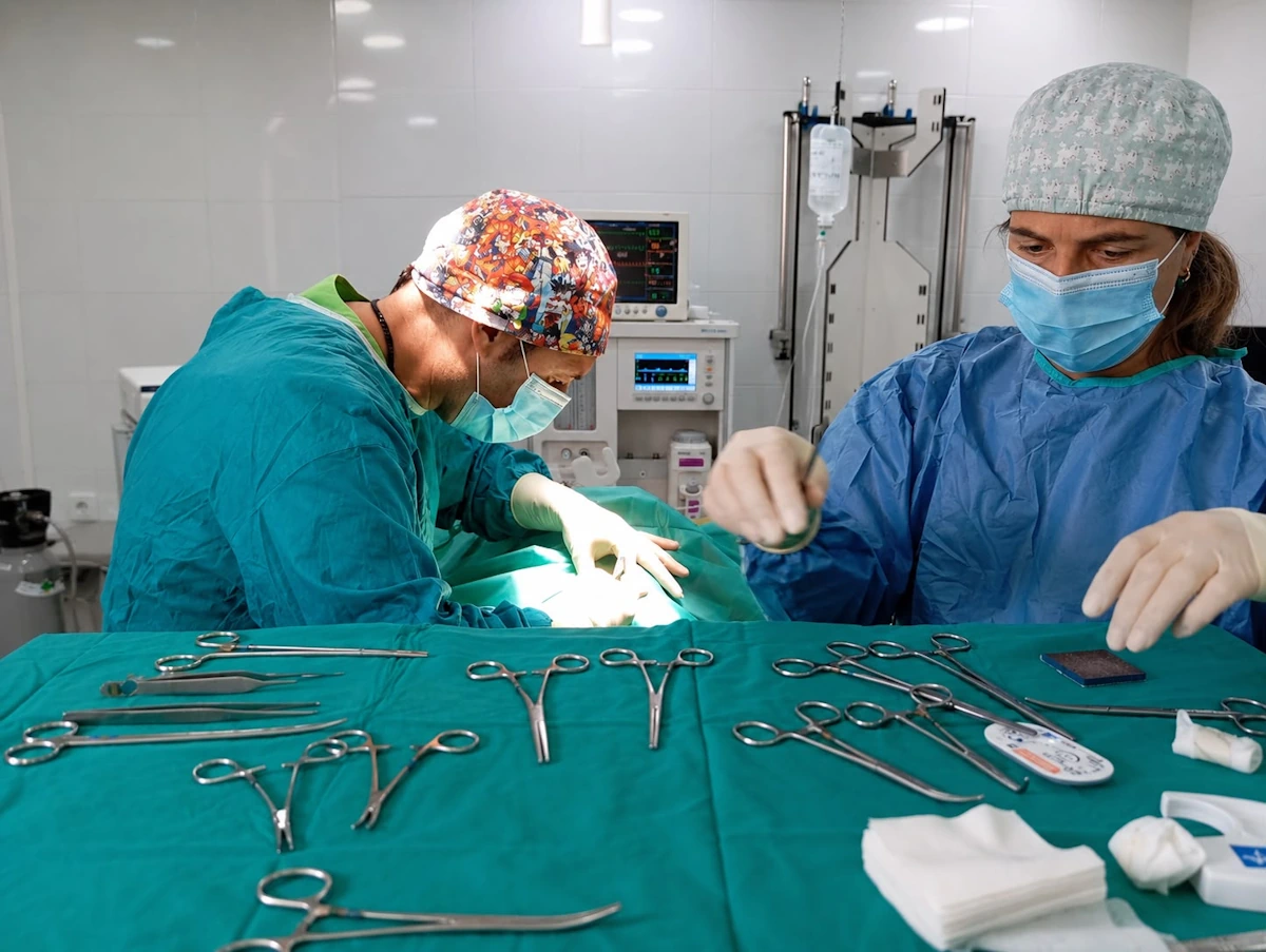 cirugía veterinaria en CV Ronda Este