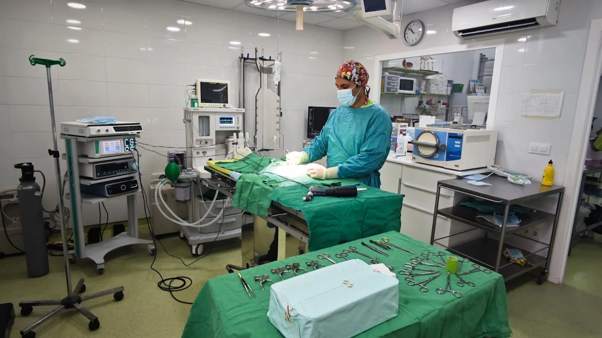 Todo tipo de cirugías veterinarias en Clinica Veterinaria Ronda Este